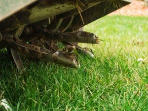 aeration and seeding in burke va
