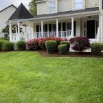 Landscape maintenance upkeep on yard