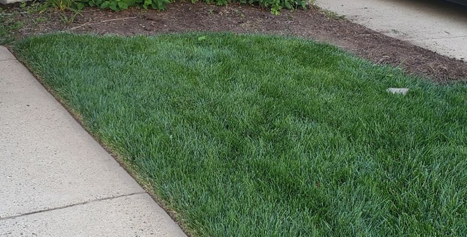 Lawn care townhome after treatment