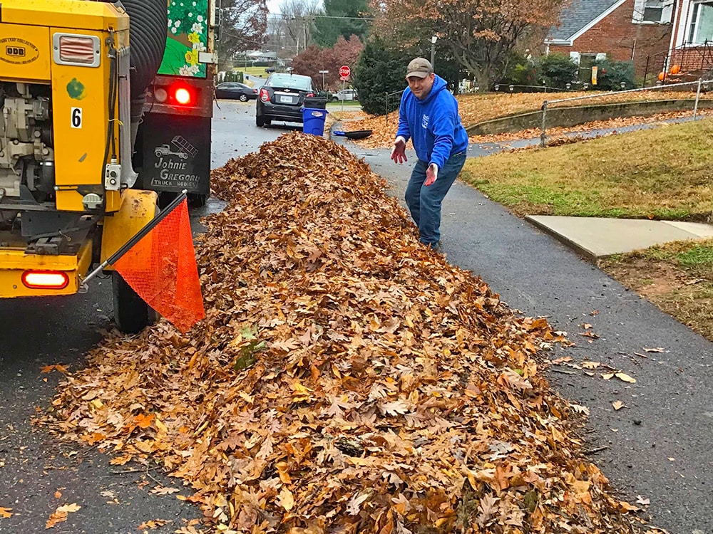 Curbside Leaf Removal - 5 Reasons It Is The Right Choice For You