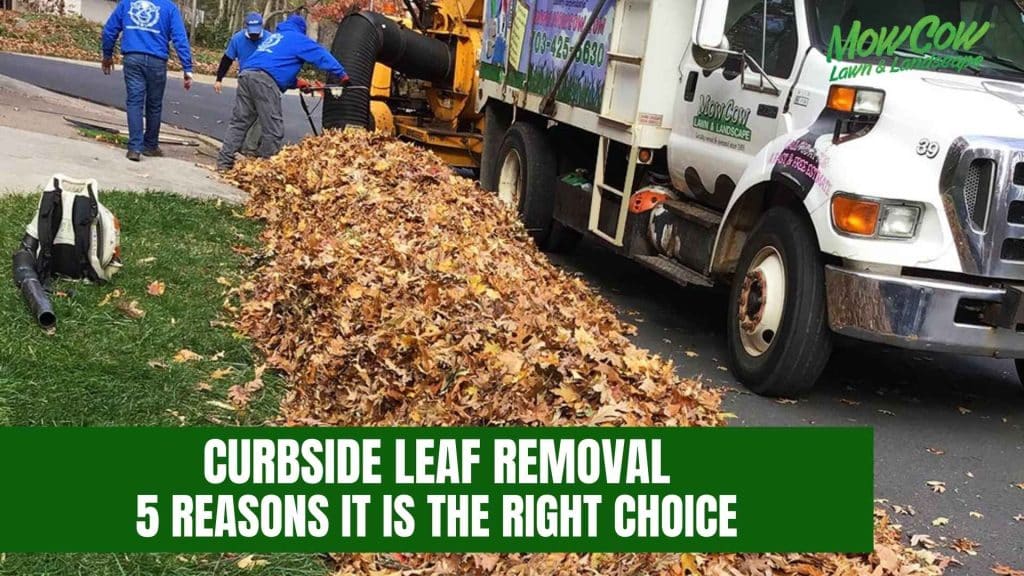 Curbside Leaf Removal