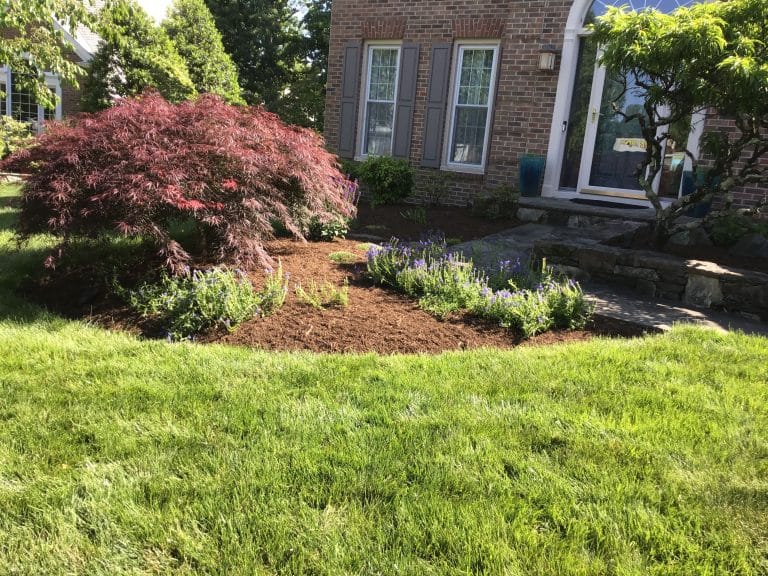 Summer Project clean up and mulch
