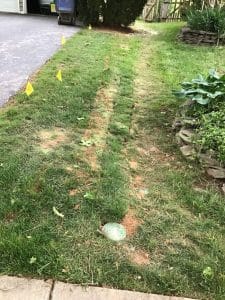 completed drainage box with Landscape drainage solution with Miss Utility markings in front yard