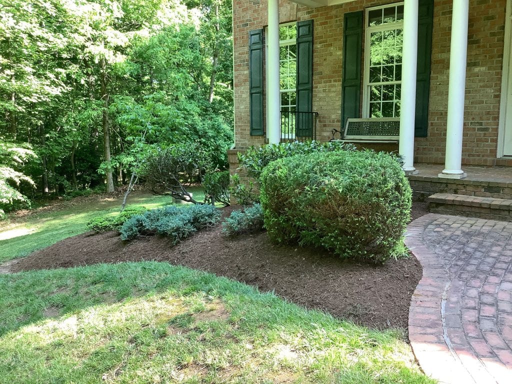 yard clean up and mulch front side - after work