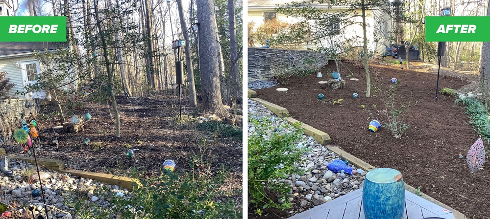 gorgeous mulching and cleaning of back yard