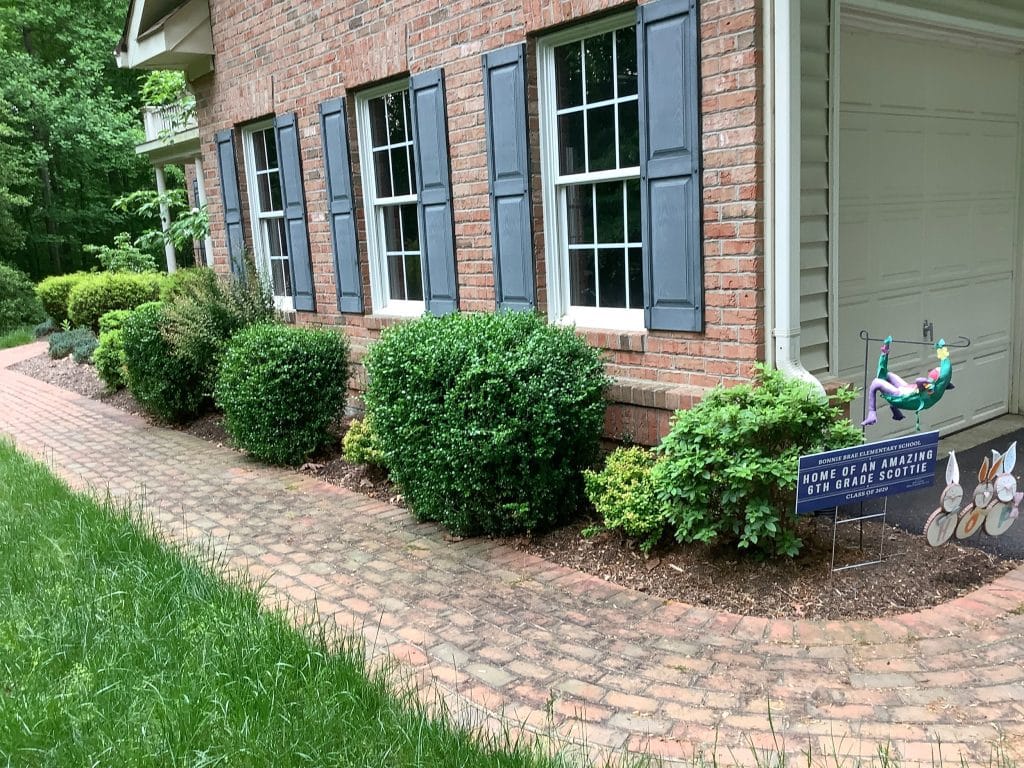 yard clean-up and mulch - side of home - before work