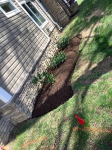 successful cleanup and mulch