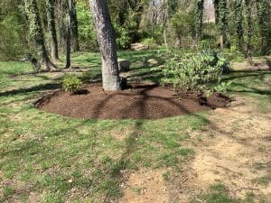 edging, pruning, mulching, beautiful clean up