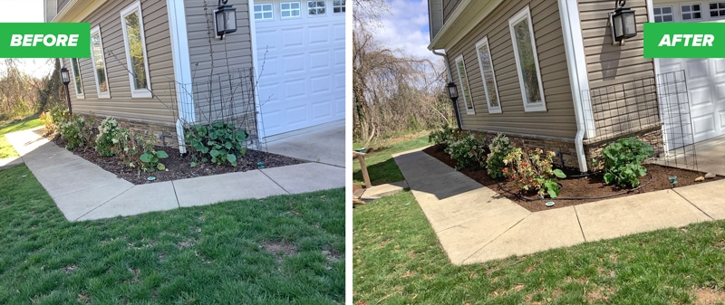 before and after hand weeding, pruning, and mulching