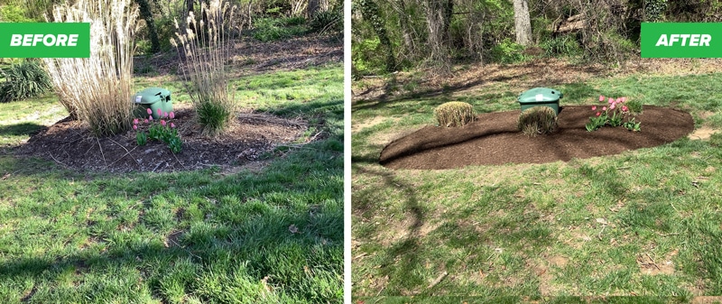 before and after hand weeding, pruning, and mulching