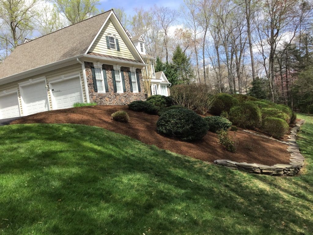 beautiful mulched hill, clean up and pruning with edging of beds