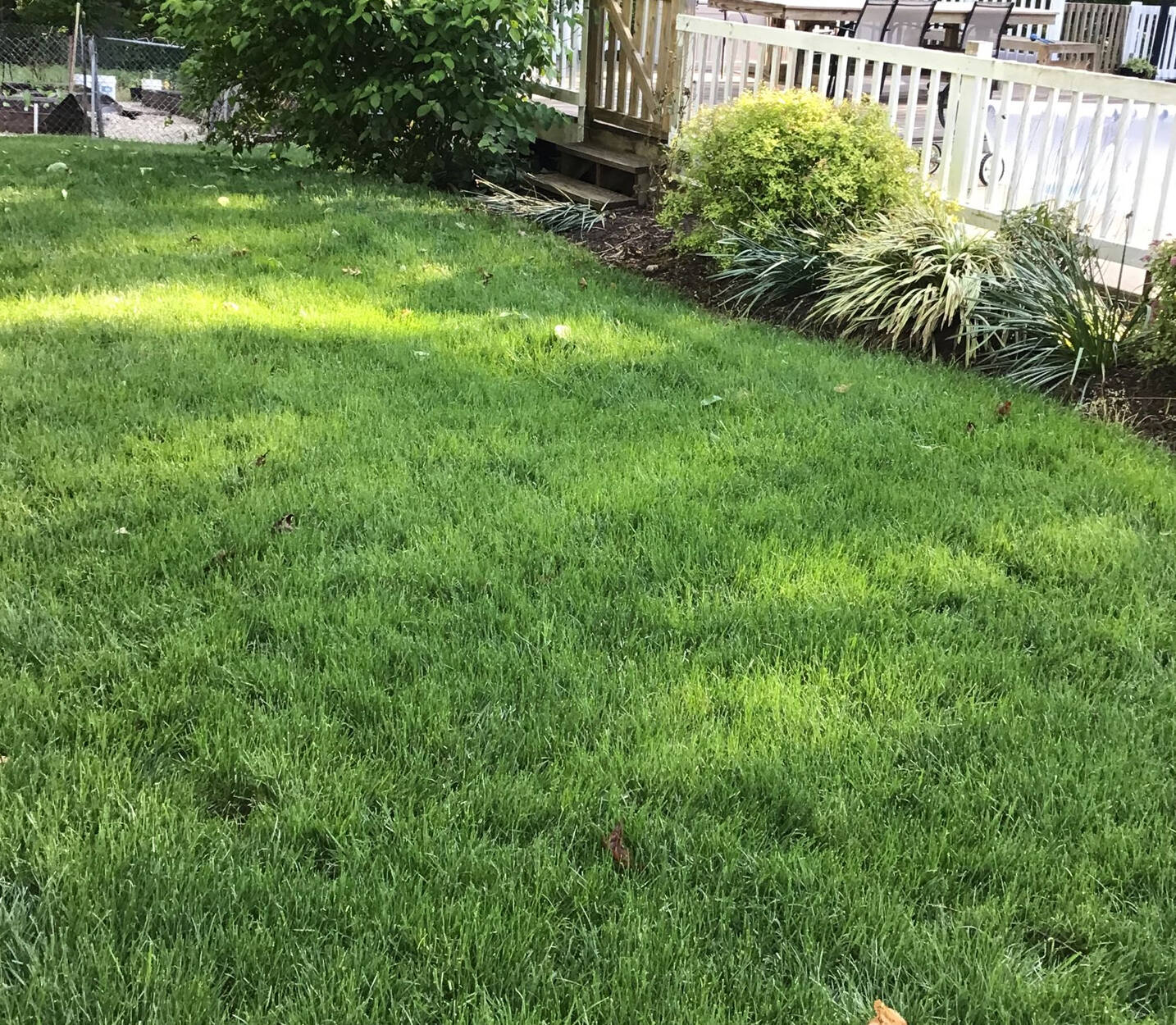 home-scroll-aeration-after-nokesville