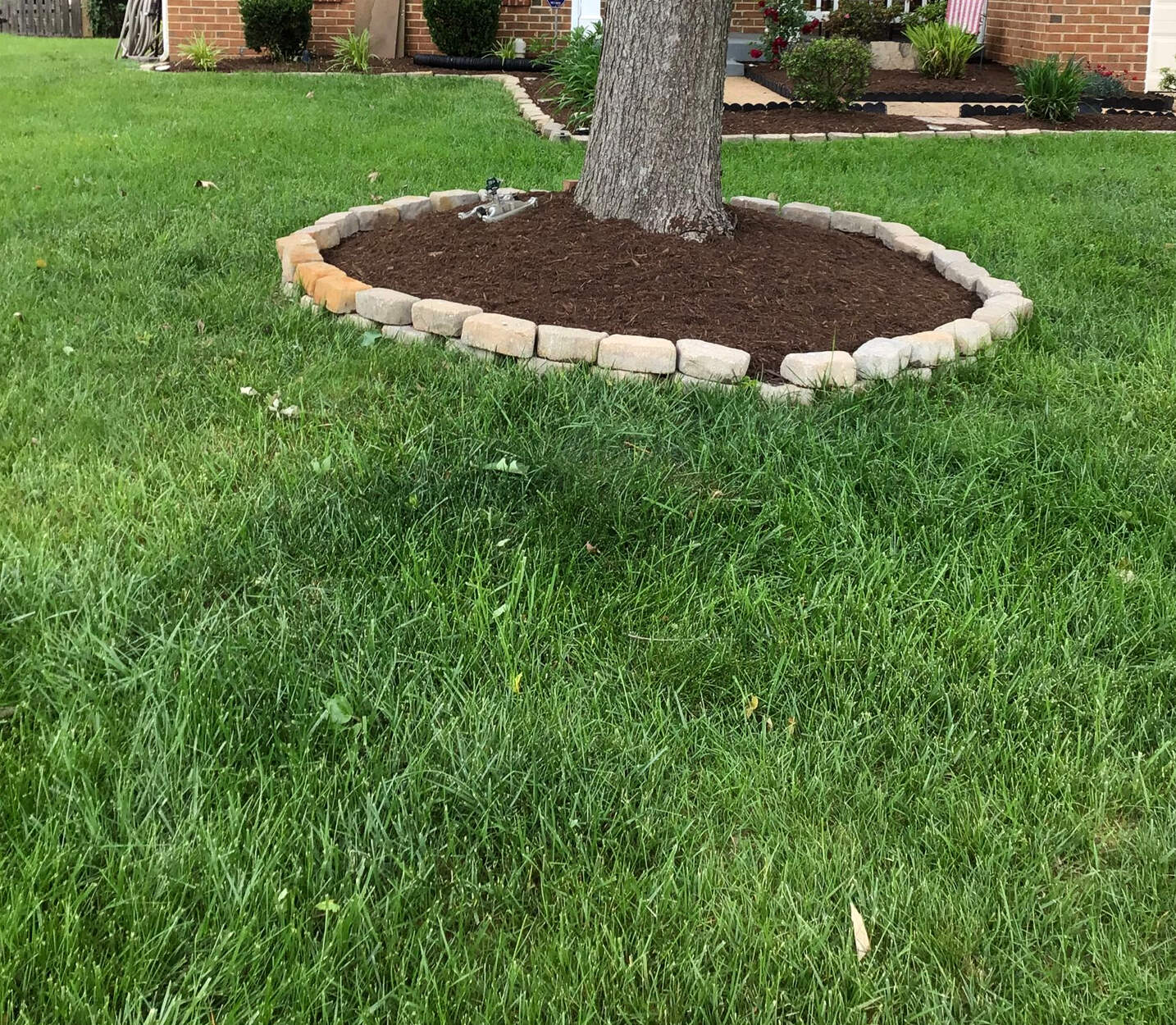 home-scroll-aeration-seeding-after