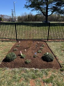 completed stormgarden after community landscaping project