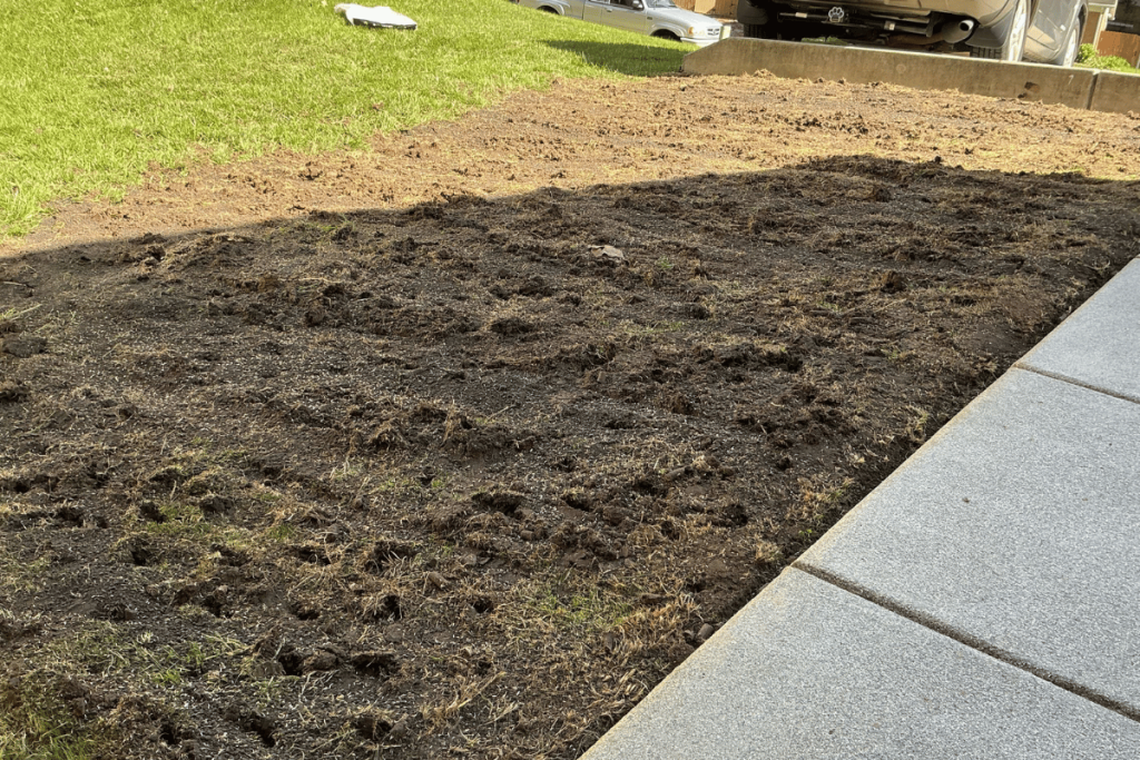 Bare lawn area prepared for aeration seeding compost and topsoil