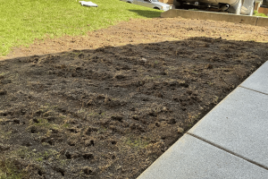 Bare lawn area prepared for aeration seeding compost and topsoil